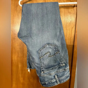 Silver jeans Elyse ankle slim plus size 18 L27 midrise distressed